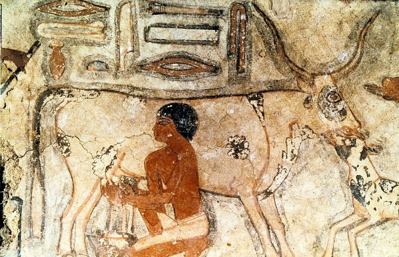 پرونده:Unbekannt - Wall painting from the tomb of Methethi Saqqara Ancient Egypt Old Kingdom c2371- - (MeisterDrucke-723388).jpg